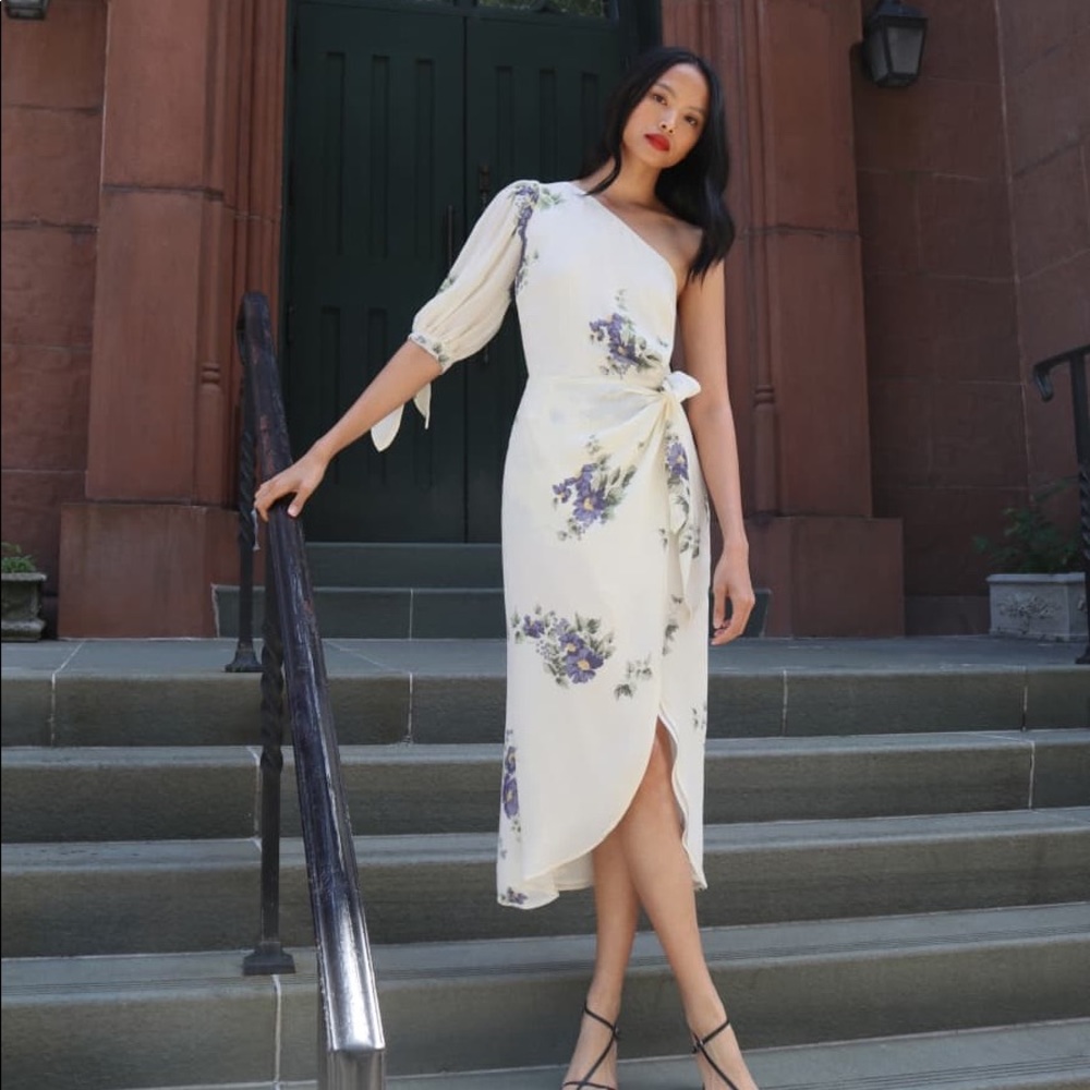 Reformation Rainey Dress (sold out online)